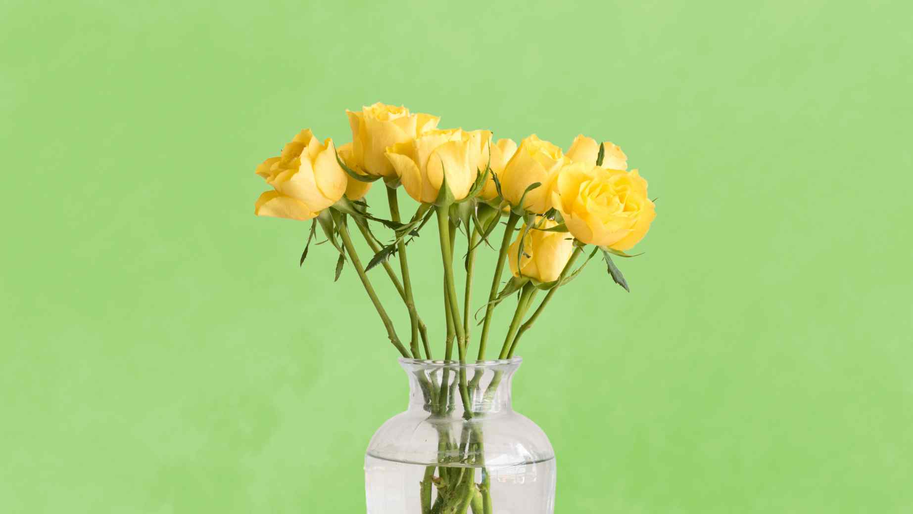 Bouquet of yellow roses in a clear glass vase against a green background
